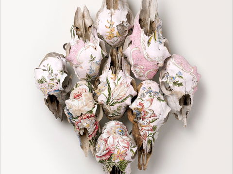 Canberra Museum And Gallery - Events Australia 0