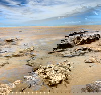 Carmila - Events Australia