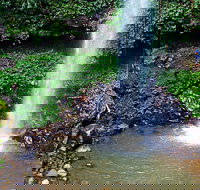 Crystal Shower Falls Walk - Events Australia