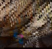 Cutta Cutta Caves Nature Park - Events Australia