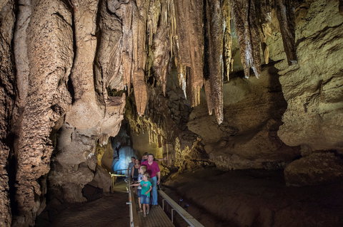 Cutta Cutta Caves Nature Park - Events Australia 0