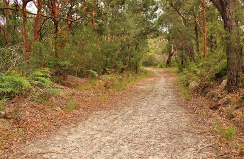 Daleys Point Walking Track - Tourism Bookings 0