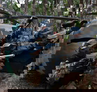 Delta Force Paintball Appin - Events Australia