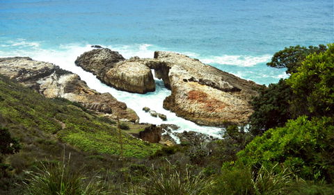 Diamond Head Loop Walk - Events Australia 0