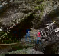 Dig the Tropic - Events Australia