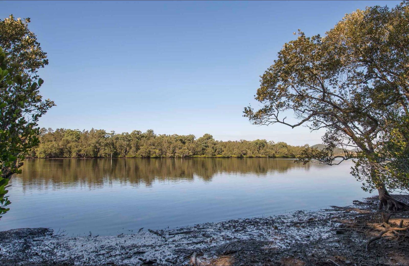 Limeburners Creek NSW Events Australia