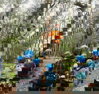 Forest Adventures South West - Events Australia