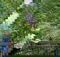 Grandis Picnic Area - Events Australia