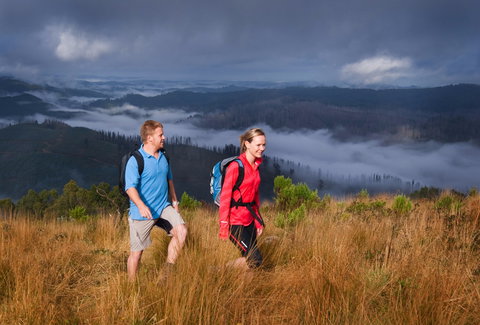 Grand Strzelecki Track - Events Australia 1