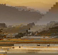 Greens Beach - Events Australia