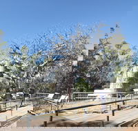 Gregory's Tree Timber Creek - Events Australia