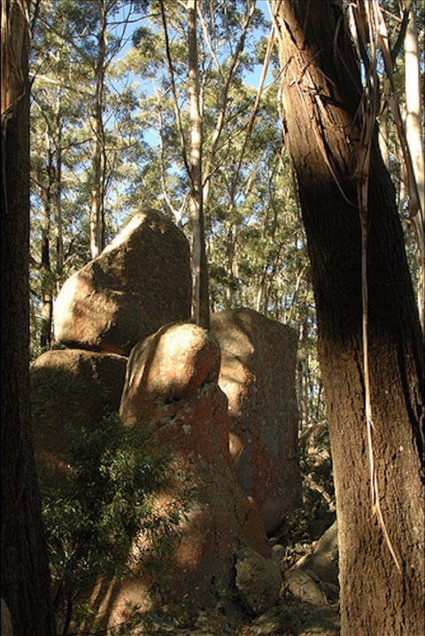 Gulaga National Park - Tourism Bookings 0