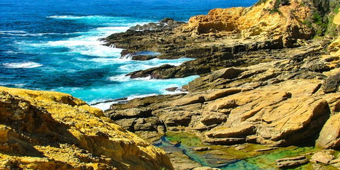 Gumnut Hideaway Gallery - Tourism Bookings 2