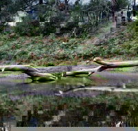 Kayaking Upper Tuross River and Bumbo Lake