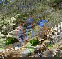 Kitty's Gorge Serpentine National Park - Events Australia