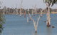 Lake Mulwala - thumb 2