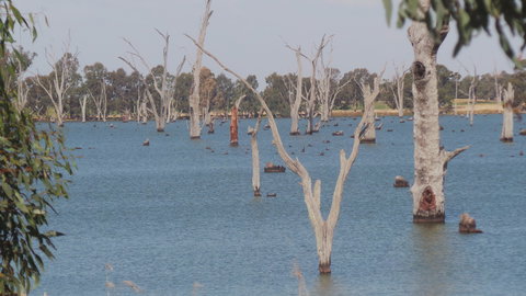 Lake Mulwala - Events Australia 2