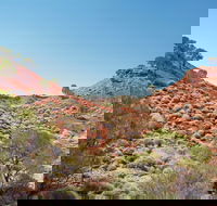 Lark Quarry Conservation Park - Events Australia