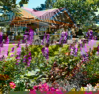 Laurel Bank Park - Events Australia