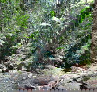 Lyrebird track - Tourism Bookings