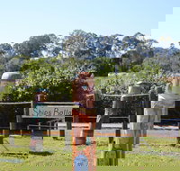 Maryboroughs Bollards - Events Australia