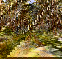 Mining Road Fire Trail Old Gibber Road Rire Trail - Events Australia