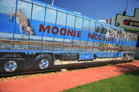Moonie - Events Australia 1