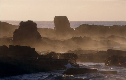 Mystery Bay - Tourism Bookings 0