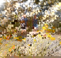 Nail Can Hill - Events Australia