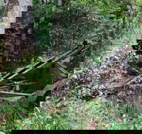 Norman Jolly Picnic Area - Events Australia