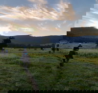 Numinbah Valley Adventure  Camping