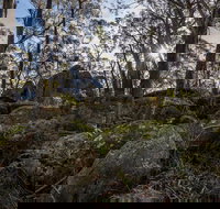 Pheasants Peak Walking Track - Events Australia