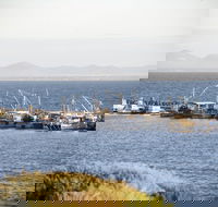 Portarlington - Events Australia