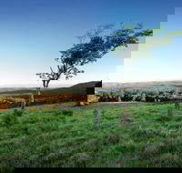 Ravensbourne National Park - Events Australia