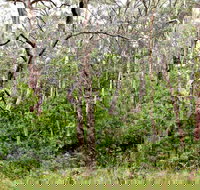 Scutts Hut Trail - Events Australia