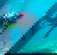 Shellharbour Scuba  and Photography Centre - Events Australia