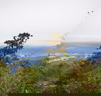 Slingsbys Trail and Syndicate Ridge Track - Events Australia