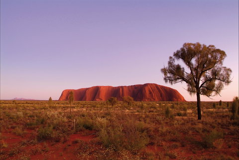 Sunrise Viewing Area Talinguru Nyakunytjaku - Events Australia 0