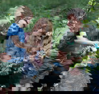 Tamworth Marsupial Park and Adventure Playground - Events Australia