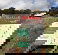 The Wallaby Track - Tourism Bookings