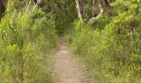Three Views Walking Track - Events Australia 0