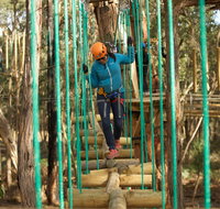 Trees Adventure Yeodene Park - Tourism Bookings