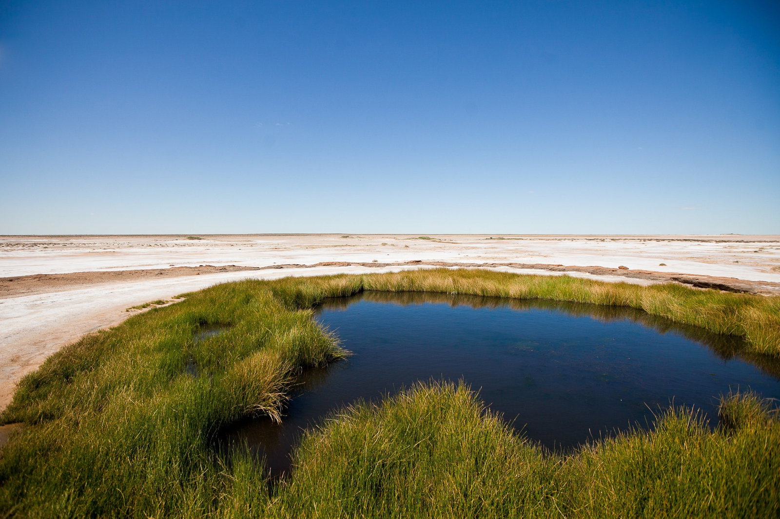 Farina SA Events Australia