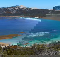 Whitemark - Events Australia