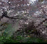 Wildwood Garden - Events Australia