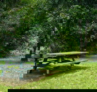 Williams River picnic area - Events Australia