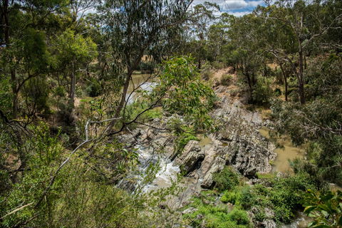 Yarrambat Park - Tourism Bookings 0
