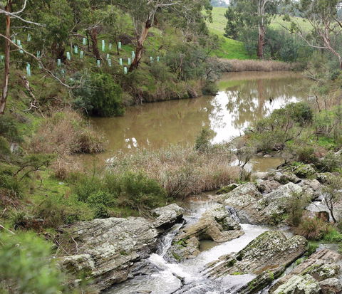 Yarrambat Park - Tourism Bookings 1