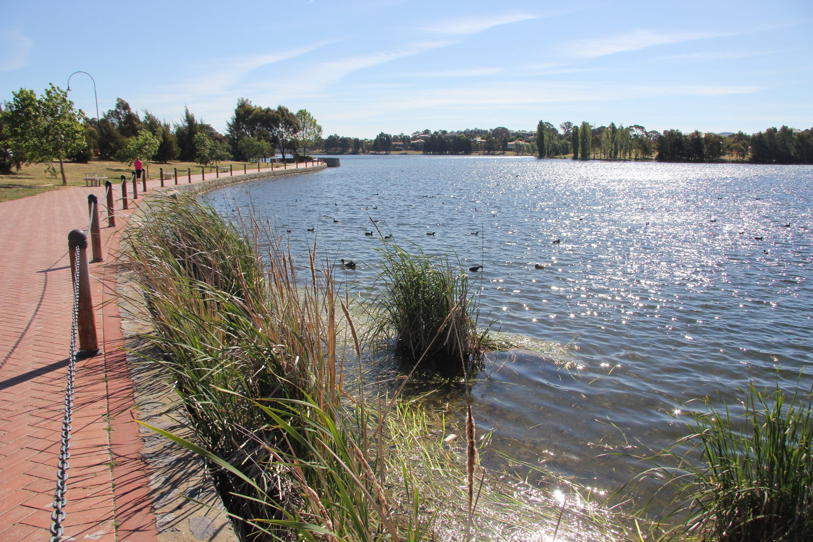 Amaroo ACT Events Australia