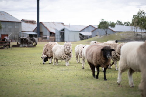 14 Day Gems Of The Outback - Events Australia 2